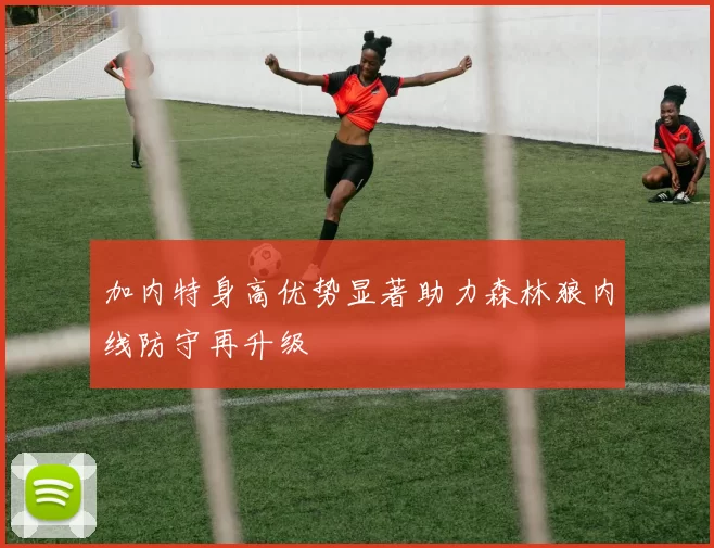 加内特身高优势显著助力森林狼内线防守再升级