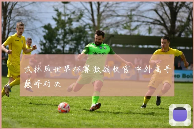 武林风世界杯赛激战收官 中外高手巅峰对决
