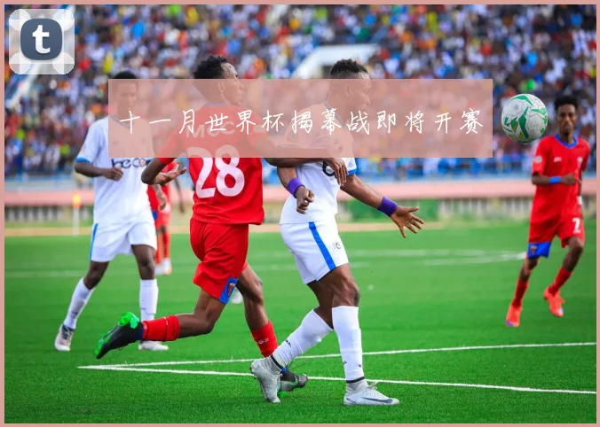 十一月世界杯揭幕战即将开赛