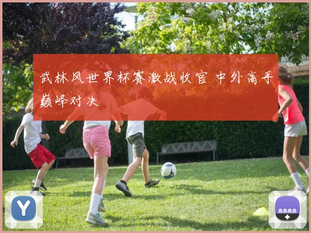 武林风世界杯赛激战收官 中外高手巅峰对决