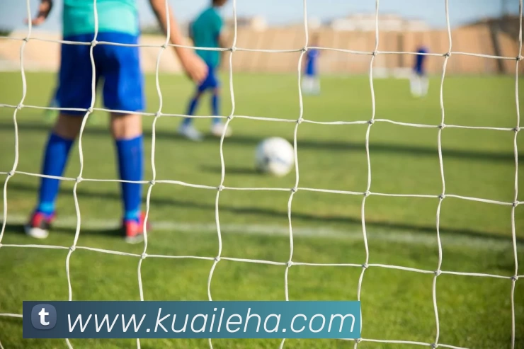 压球首页品牌故事