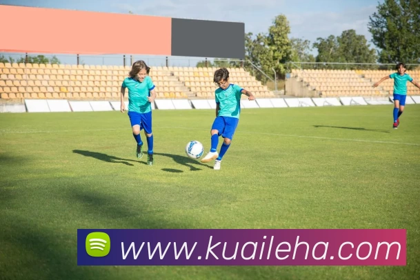 压球首页服务体系